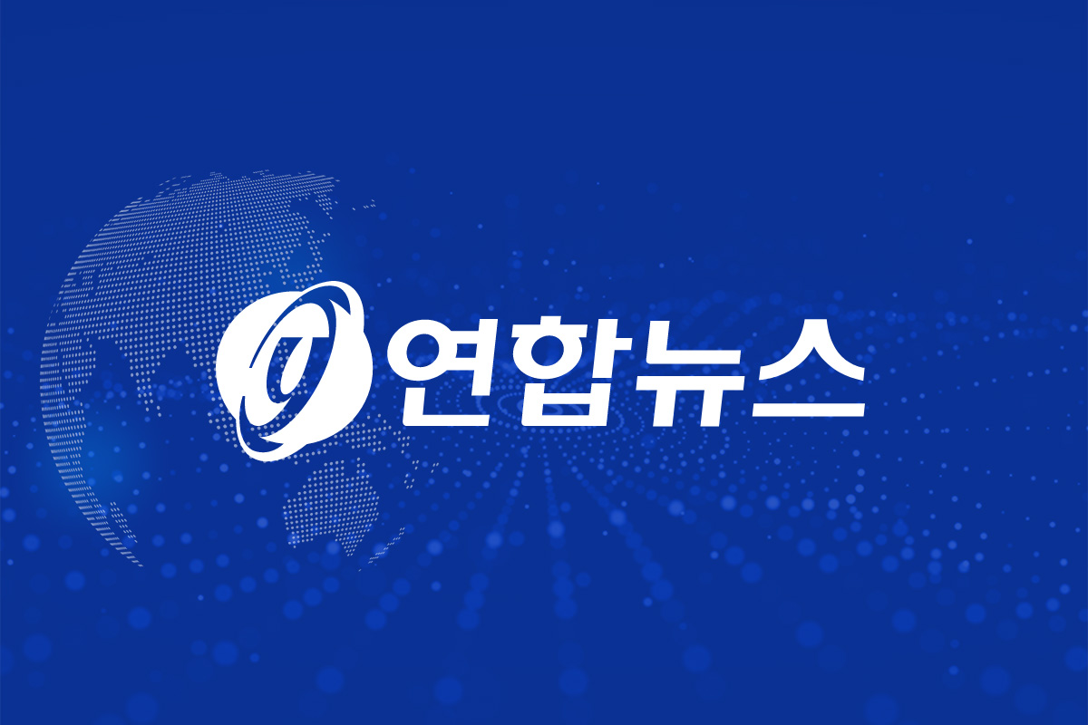 2026 월드컵 D조 중간순위, 14일 기준 최신 현황